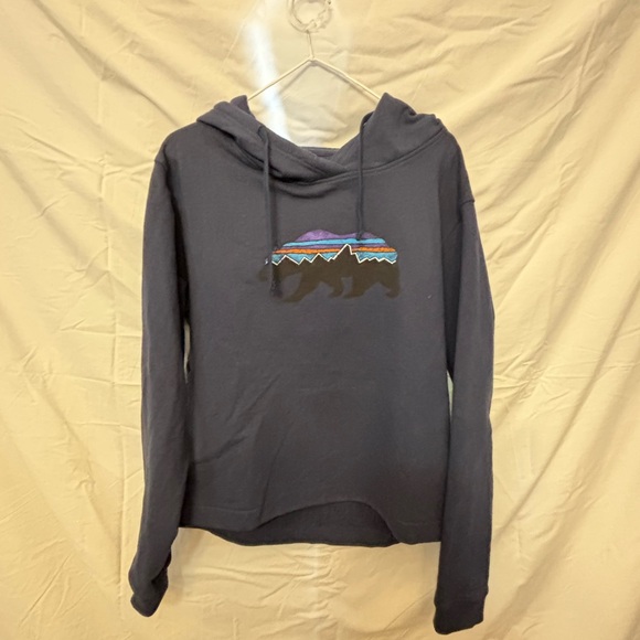 Patagonia Tops - Patagonia hoodie